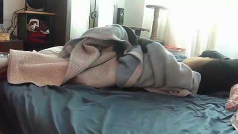 mojoe420 online show from 11/29/25, 04:43