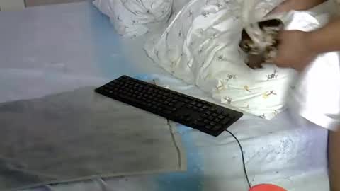 Snapshot of mollynebony chatting on 03/18/26, 10:51 mollyn online show from 03/18/26, 10:51