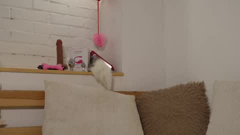 monicaasis online show from 02/17/25, 12:21