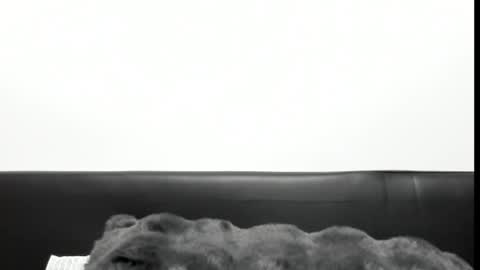 Snapshot of monicacure chatting on 10/27/25, 03:16 monicacure online show from 10/27/25, 03:16