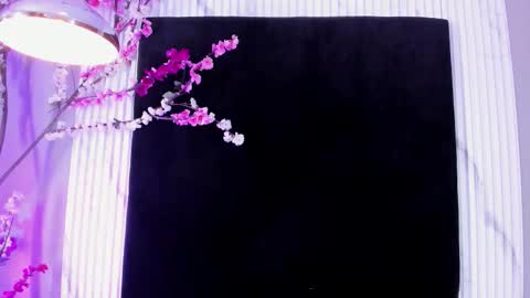 MONIK FOX online show from 11/17/25, 07:41