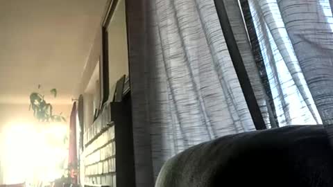 Snapshot of monkeedance chatting on 12/17/24, 05:36 Monkee Dance online show from 12/17/24, 05:36