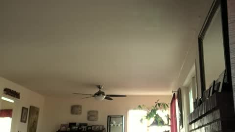 Snapshot of monkeedance chatting on 02/16/25, 05:37 Monkee Dance online show from 02/16/25, 05:37