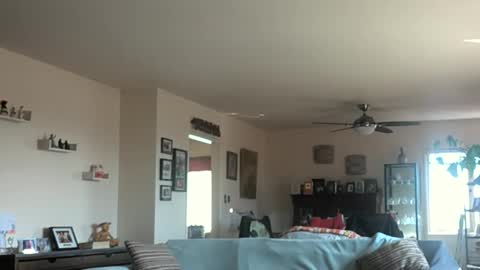 Snapshot of monkeedance chatting on 03/03/25, 10:10 Monkee Dance online show from 03/03/25, 10:10