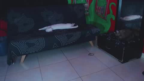 Xavier Rodriguez online show from 11/25/25, 01:11