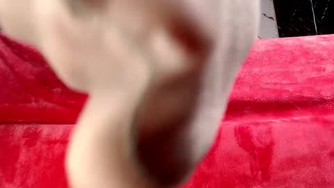 moolly_evanz online show from 02/04/26, 02:34