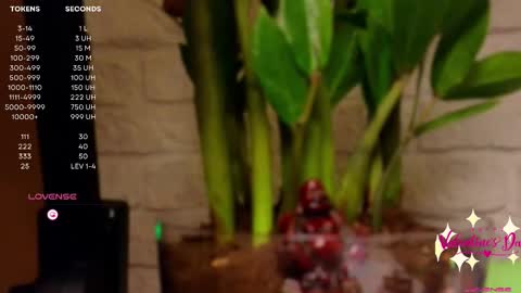 Snapshot of moon_deity chatting on 02/14/25, 04:20 Luna online show from 02/14/25, 04:20