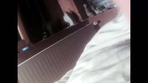 moos1 online show from 09/16/25, 06:42