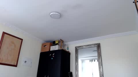 Abelardo online show from 09/19/25, 05:02