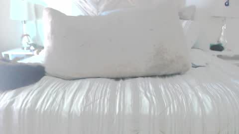 Snapshot of moreofthis chatting on 03/02/26, 05:20 Didier online show from 03/02/26, 05:20