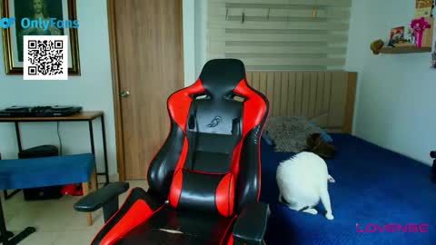 Morthy online show from 03/01/25, 05:05