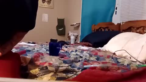 B online show from 02/04/25, 08:24