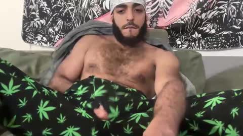 Snapshot of mountaiden chatting on 02/25/25, 12:14 mountaiden online show from 02/25/25, 12:14