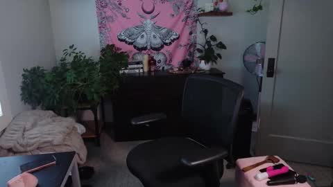 Snapshot of mousiegirl chatting on 02/27/26, 07:47 Mousie online show from 02/27/26, 07:47