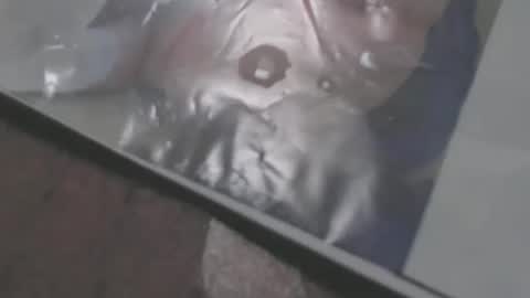 mowfbreever online show from 10/18/25, 05:57