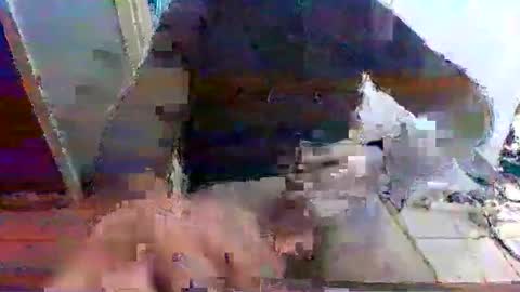 Snapshot of mppempis81 chatting on 11/15/25, 07:27 mppempis81 online show from 11/15/25, 07:27