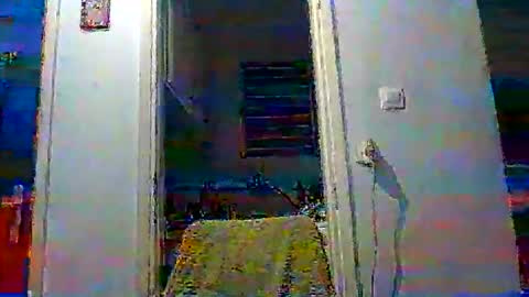 Snapshot of mppempis81 chatting on 11/19/25, 03:45 mppempis81 online show from 11/19/25, 03:45