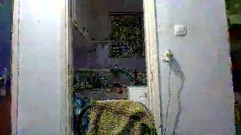 Snapshot of mppempis81 chatting on 12/02/25, 07:31 mppempis81 online show from 12/02/25, 07:31