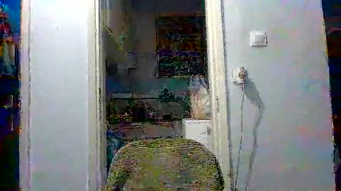 Snapshot of mppempis81 chatting on 12/04/25, 03:32 mppempis81 online show from 12/04/25, 03:32