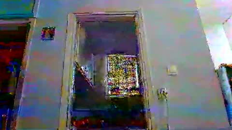 Snapshot of mppempis81 chatting on 12/05/25, 06:11 mppempis81 online show from 12/05/25, 06:11