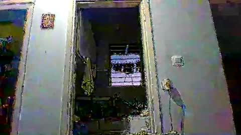 mppempis81 online show from 01/14/26, 03:50