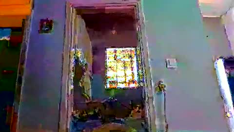 mppempis81 online show from 02/01/26, 07:29