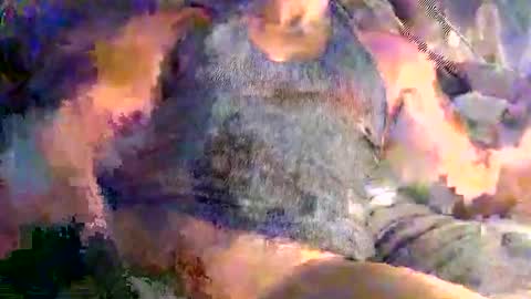 Snapshot of mr2mr2 chatting on 02/26/26, 04:39 Mr2 online show from 02/26/26, 04:39