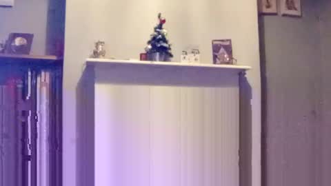 Snapshot of mr_i_ chatting on 12/17/24, 08:10 mr_i_ online show from 12/17/24, 08:10