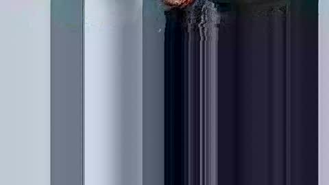 Snapshot of mr_i_ chatting on 03/10/25, 08:37 mr_i_ online show from 03/10/25, 08:37