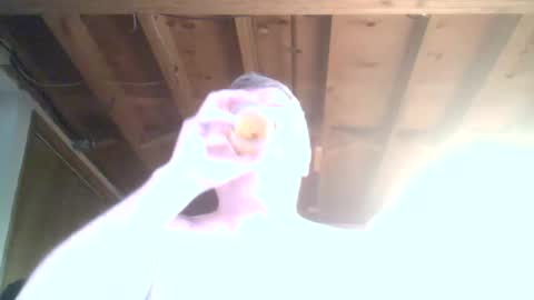 mrblade666 online show from 01/12/25, 08:47