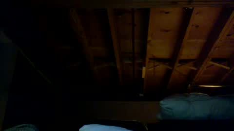 mrblade666 online show from 02/01/25, 01:55