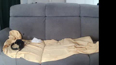 I am Hardy online show from 12/05/24, 11:07