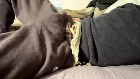 thickdickpnw online show from 12/29/24, 07:50