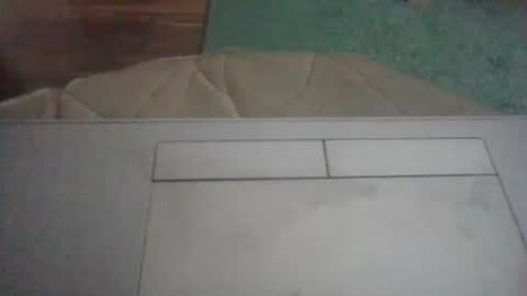Snapshot of mrhandsomelovee chatting on 11/19/25, 07:52 Nikola online show from 11/19/25, 07:52