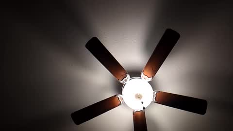 Snapshot of mrorange50187 chatting on 12/01/24, 10:21 mrorange50187 online show from 12/01/24, 10:21