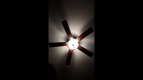 Snapshot of mrorange50187 chatting on 12/18/24, 12:32 mrorange50187 online show from 12/18/24, 12:32