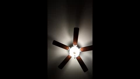 Snapshot of mrorange50187 chatting on 01/08/25, 11:30 mrorange50187 online show from 01/08/25, 11:30