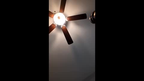 Snapshot of mrorange50187 chatting on 01/12/25, 02:52 mrorange50187 online show from 01/12/25, 02:52