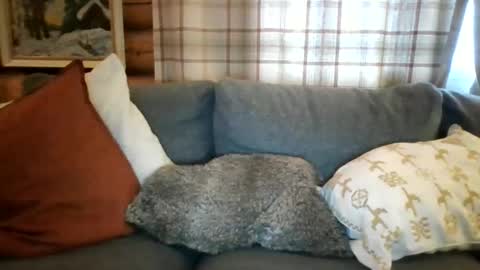 Snapshot of mrpornstar33 chatting on 03/27/26, 04:51 Twinsoulsex online show from 03/27/26, 04:51