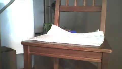 Snapshot of mrroarke chatting on 12/26/24, 11:35 Longshot online show from 12/26/24, 11:35