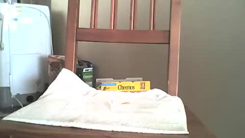 Longshot online show from 10/06/25, 11:35