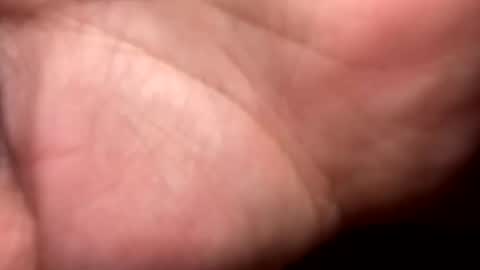 Snapshot of mrshawn95 chatting on 12/16/25, 09:20 shawn online show from 12/16/25, 09:20