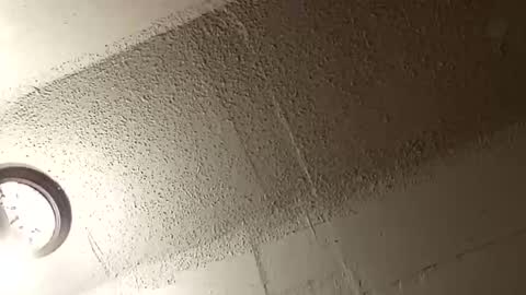 melissa online show from 01/10/26, 02:57