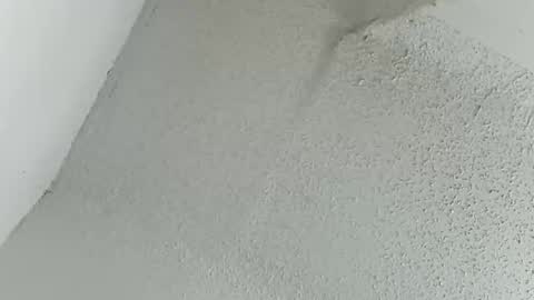 melissa online show from 03/11/26, 12:16