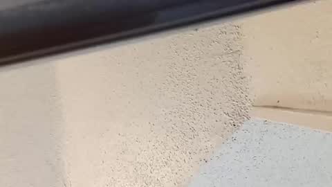 melissa online show from 03/14/26, 08:58