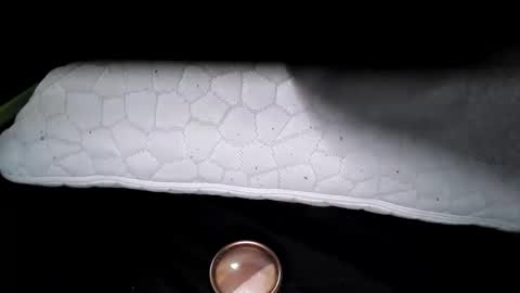 Snapshot of msmomy69 chatting on 11/18/25, 02:43 msmomy69 online show from 11/18/25, 02:43