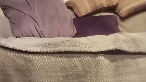 mtx9889 online show from 10/27/25, 10:47