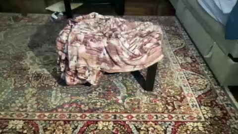 Snapshot of much_fun1 chatting on 02/01/26, 03:21 much_fun1 online show from 02/01/26, 03:21