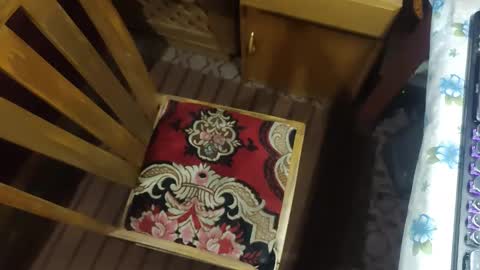 zenon online show from 12/20/25, 10:06