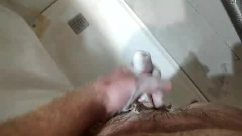 Snapshot of mugglesmuggler chatting on 03/20/26, 10:42 mugglesmuggler online show from 03/20/26, 10:42